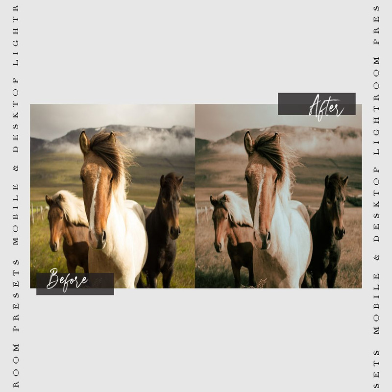 1080x1080 size PREVIEW-01-7.jpg