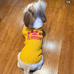 Personalized dog sweater for a small dog. Puppy sweater XXS. Cute pet clothes.