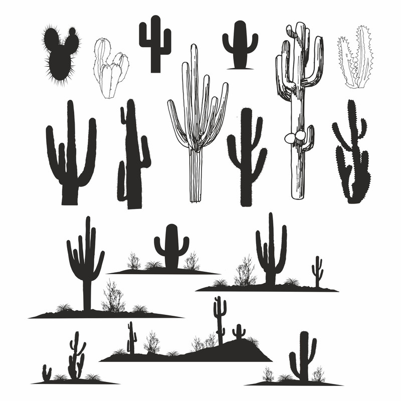 Cactus.jpg