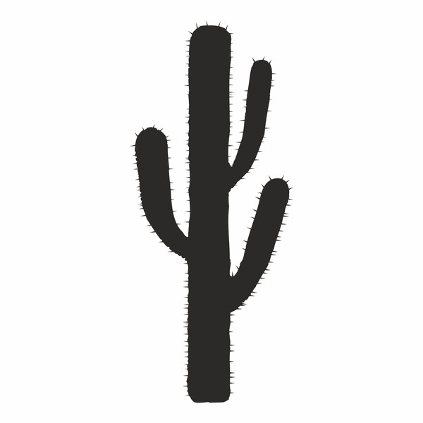 Cactus7.jpg