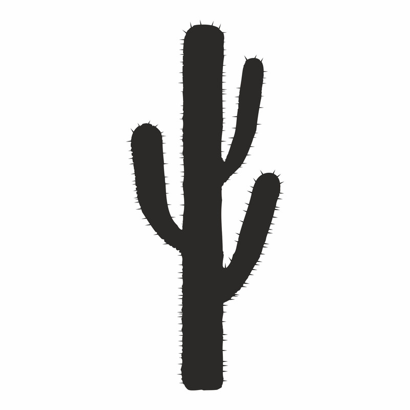 Cactus7.jpg
