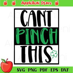 can pinch this svg, st patrick svg, funny boy svg, green shamrock svg