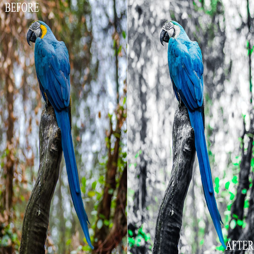 1080x1080 size BeforeAfter3.jpg