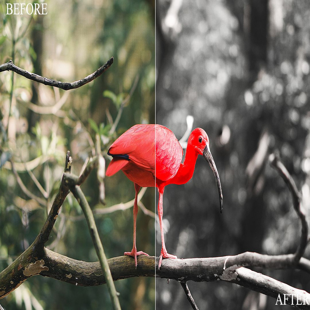 1080x1080 size BeforeAfter15.jpg