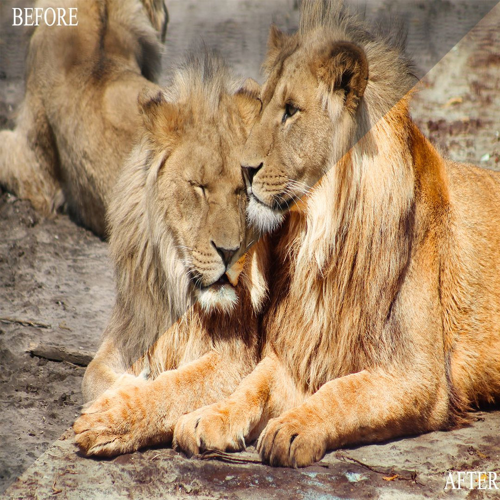 1080x1080 size BeforeAfter110.jpg