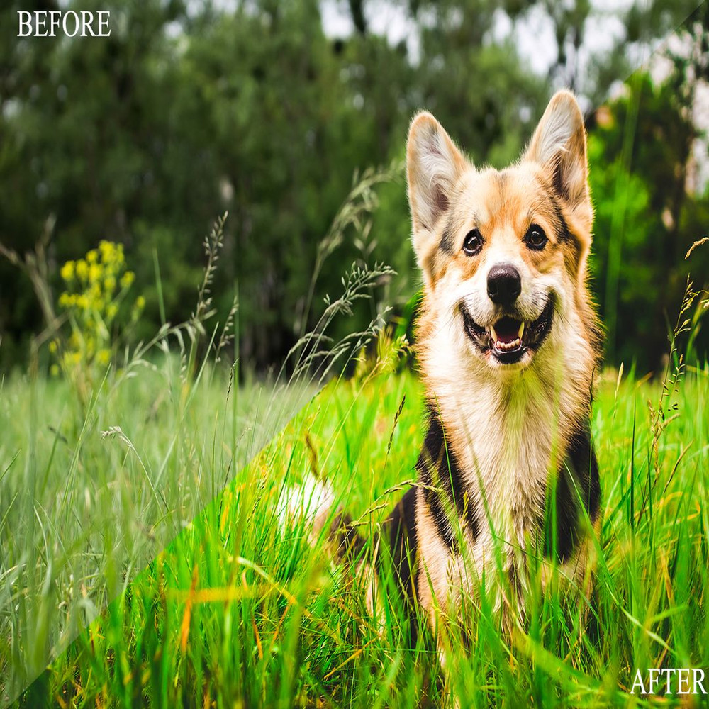 1080x1080 size BeforeAfter15.jpg