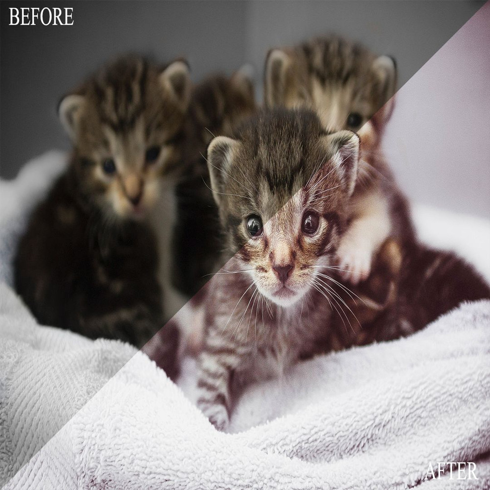 1080x1080 size BeforeAfter169.jpg