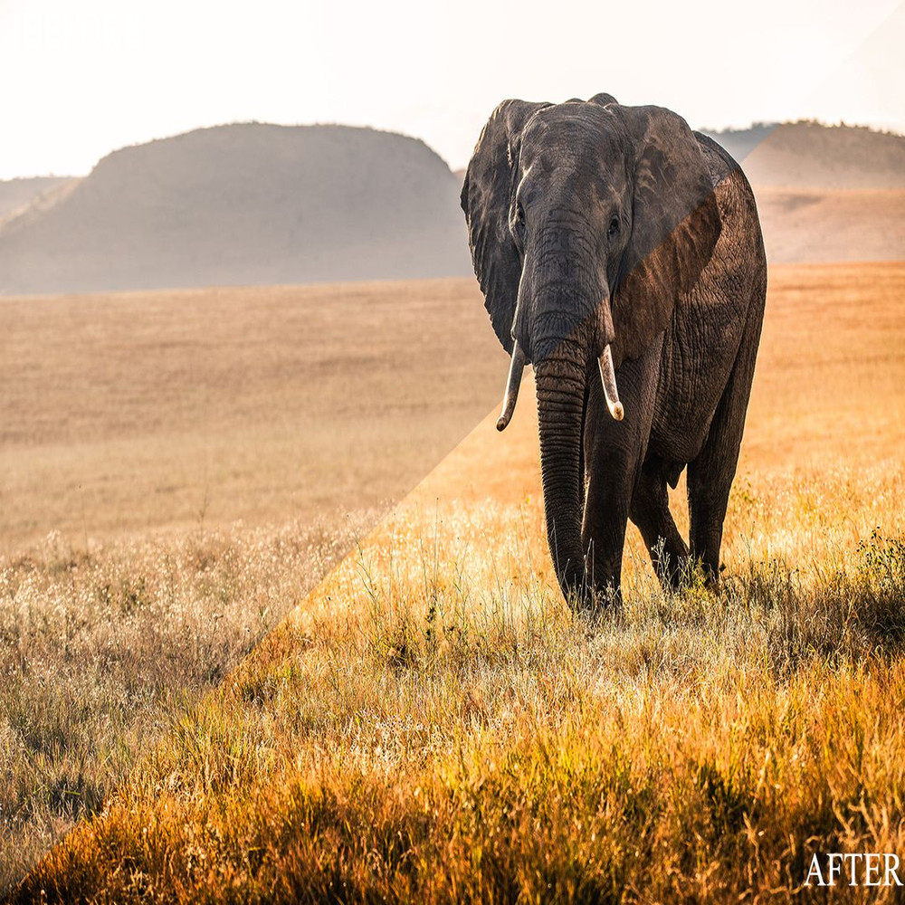 1080x1080 size BeforeAfter17.jpg