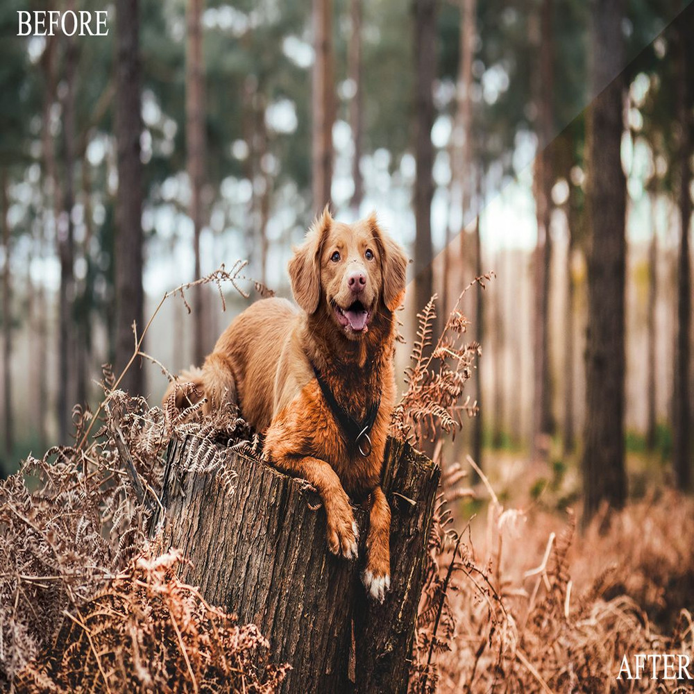 1080x1080 size BeforeAfter9.jpg