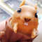 Evil Squirrel Cup Toy Cute Funny Squeeze Toys (3).jpg