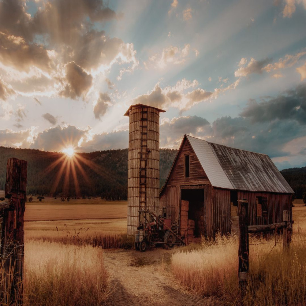 1080x1080 size timothy-eberly-XemjjFd_4qE-unsplash-2048x1365.jpg