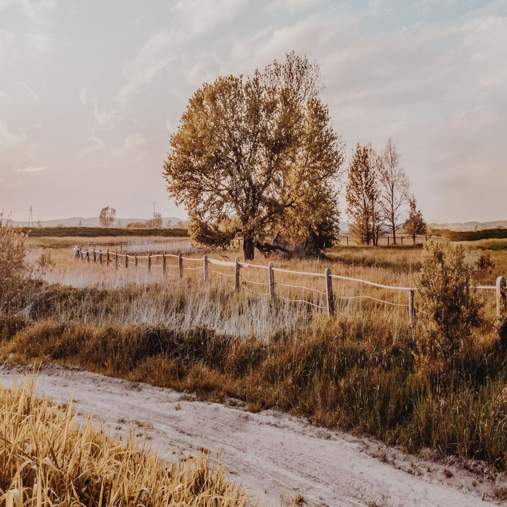 1080x1080 size tomasz-filipek-CUWC-6MRcNg-unsplash-1594x1062.jpg