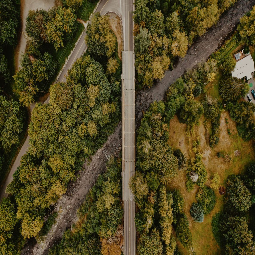 1080x1080 size jesse-collins-PcL7jlrReGE-unsplash-1594x1062.jpg