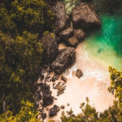 nature tones,camera raw mobile & deskto presets