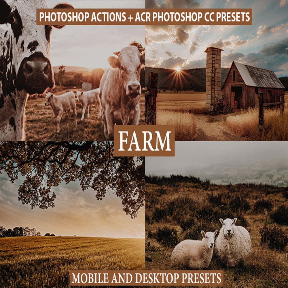 1080x1080 size il_1140xN.2708586662_dg8q.jpg