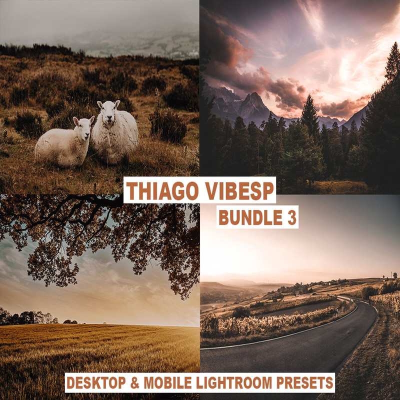 1080x1080 size preview4-10.jpg