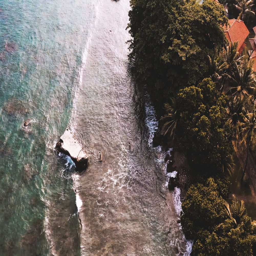 1080x1080 size Pexels-Videos-2169880.00_00_00_00.Quadro001-1594x1062.jpg