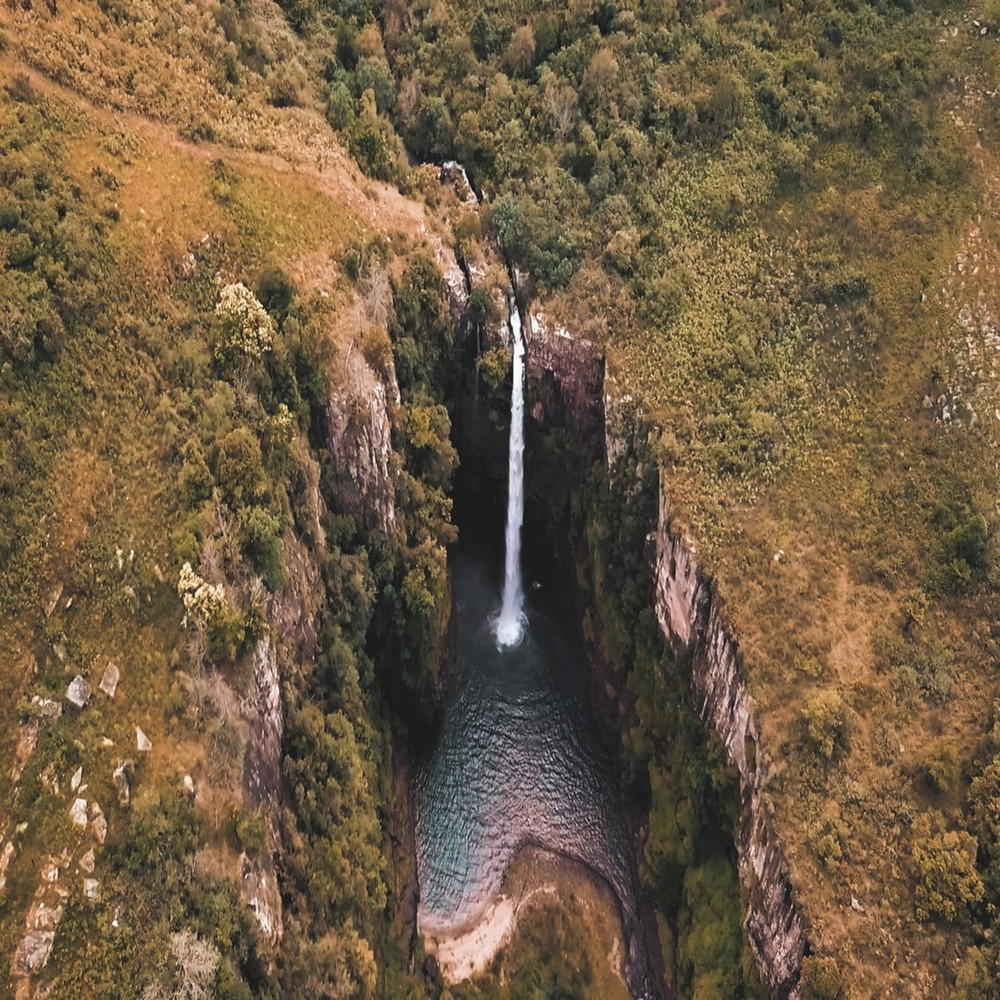 1080x1080 size video-1.00_00_00_00.Quadro001-1594x1062.jpg