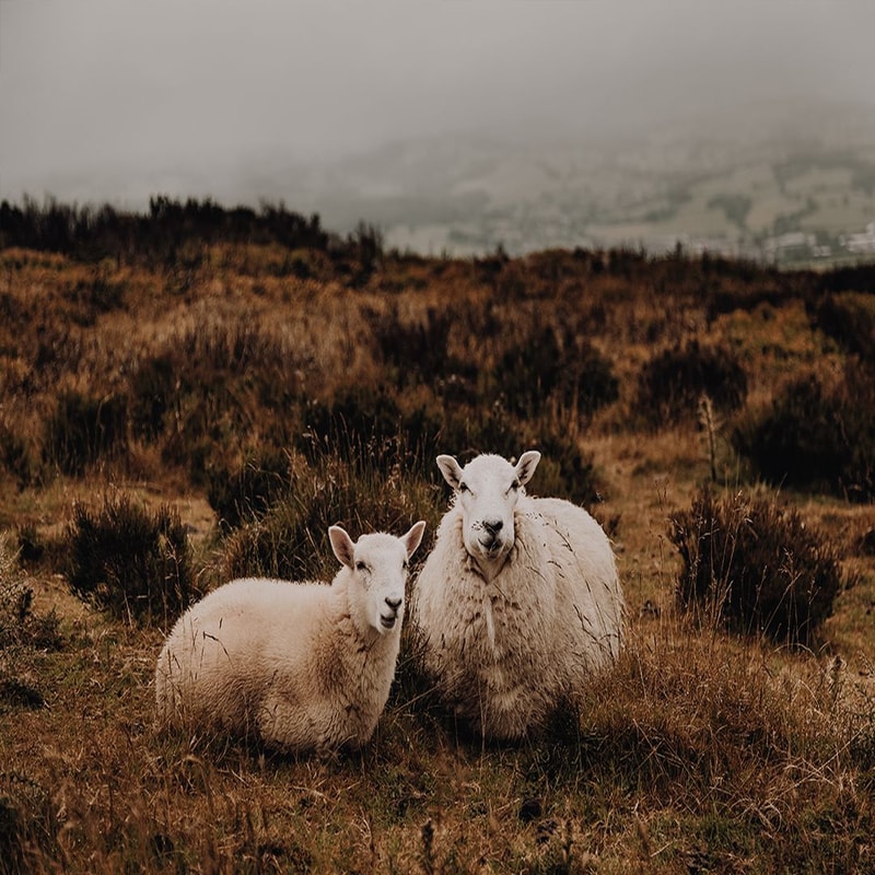 1080x1080 size preview-67.jpg