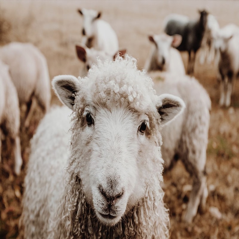 1080x1080 size preview2-13.jpg