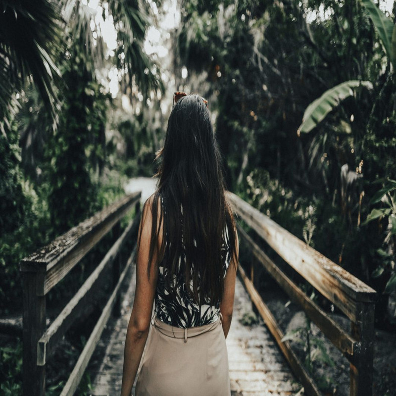 1080x1080 size forest_leaves_model_park_606381-2-1594x1062.jpg