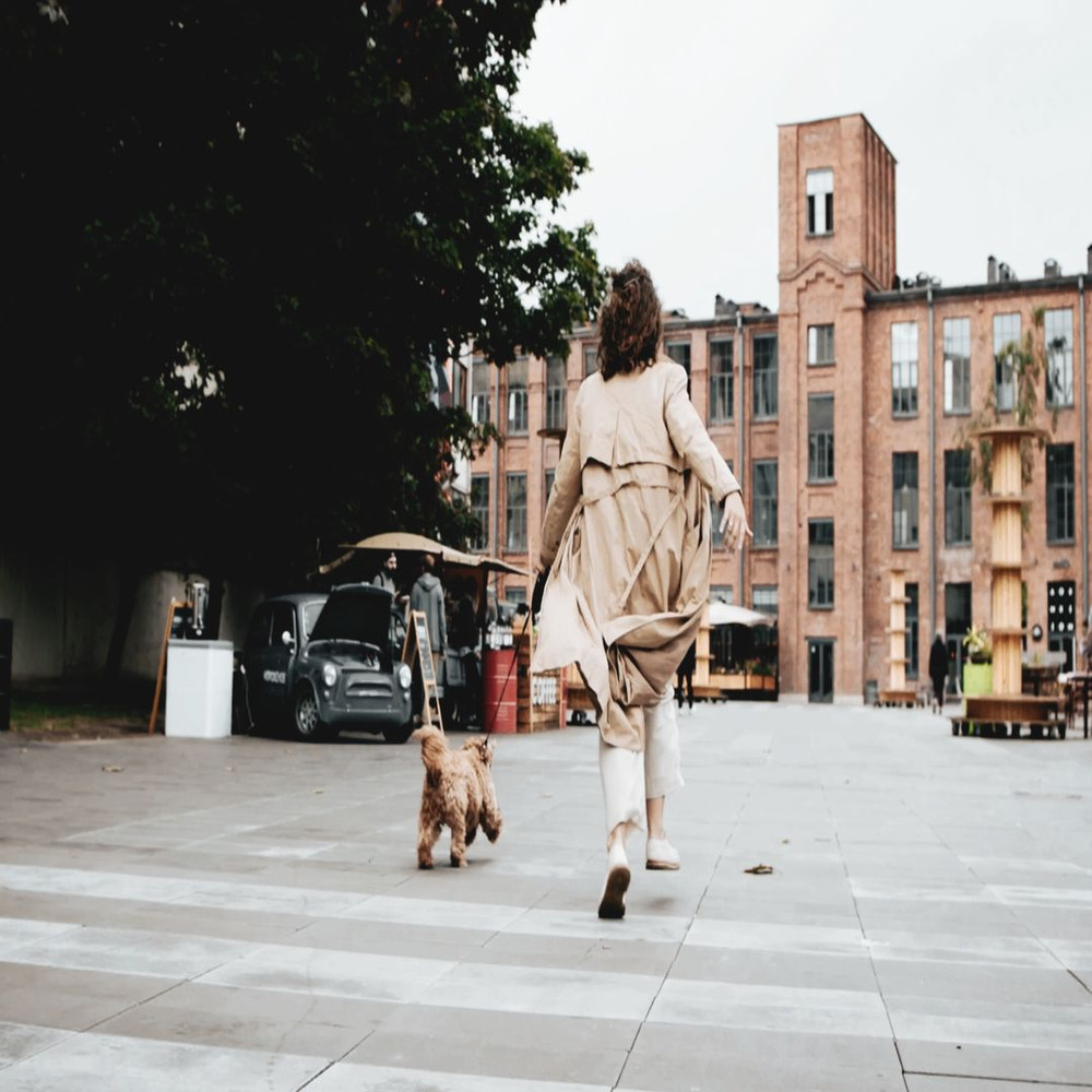 1080x1080 size Pexels-Videos-2796084.00_00_00_00.Quadro001-1594x1062.jpg