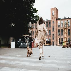 cinematic cocoa film mobile & desktop presets