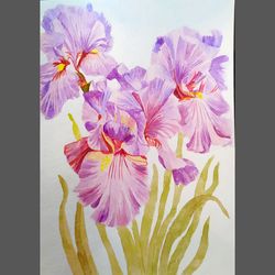 Iris Original Watercolor Painting by Guldar