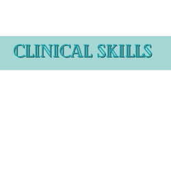 Clinical Skills Nurse Bundle - 4 Pages ( 2024 )