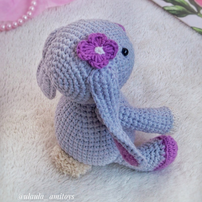 100_9601 (1)-01.jpeg