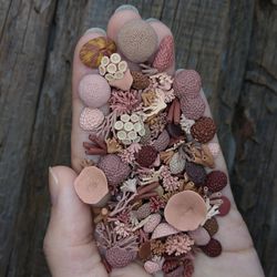Set of miniature corals shades of brown, tiny corals for diorama, resin art, display or dollhouse aquarium