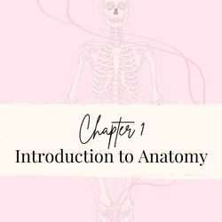 Introduction to Human Anatomy Notes Cells 2024, Tissues, Bones Notes  Anatomy Notes Bundle | Nursing Bundle | PDF File