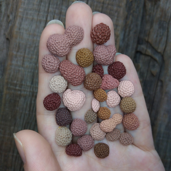 tiny-clay-corals-4.jpg