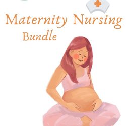 Maternity OB Bundle  | Nursing Bundle | PDF File | Pages 17