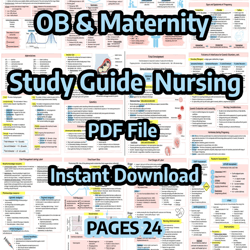 OB & Maternity Study Guide  Nursing student  Labor and Delivery  Digital Download | Nursing Bundle | Pages 24