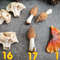 Miniature mushrooms.jpg