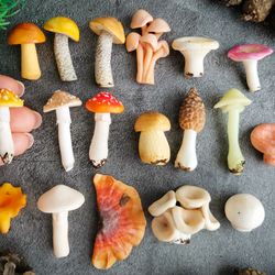 Magic merry miniature mushrooms, fairy garden terrarium, funny plant stakes