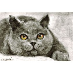 cat portrait. original oil painting 8x11,2''