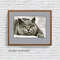 cat 1 frame 1.jpg