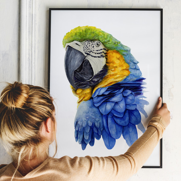 blue-gold-macaw-poster.jpg