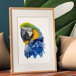 Blue gold macaw watercolor digital poster, parrot print for living room