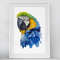 watercolor-parrot-print.jpg