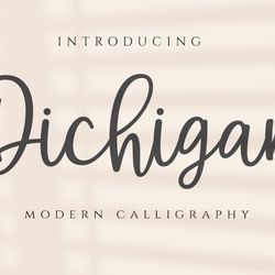 Dichigan – Modern Calligraphy Script Trending Fonts - Digital Font