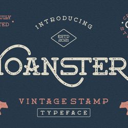 Moanster Vintage Stamp Trending Fonts - Digital Font