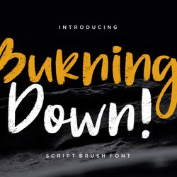 burning down brush trending fonts - digital font