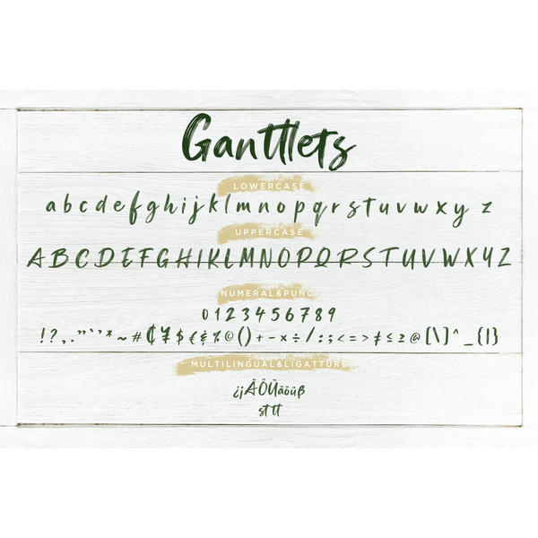 Ganttlets-6.jpg