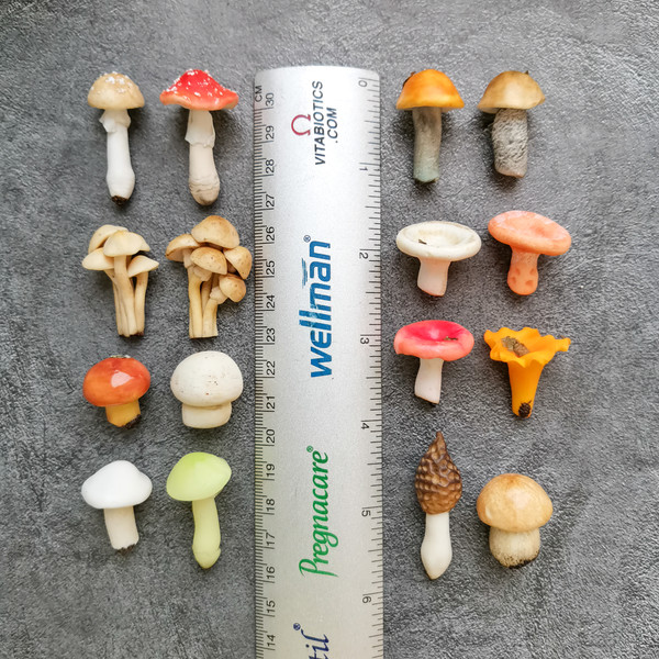 miniature mushroom set.jpg