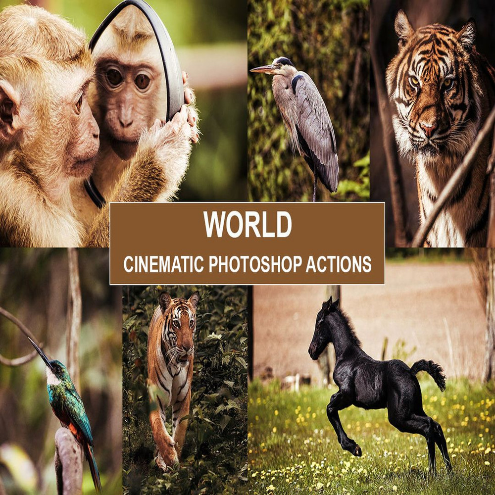 1080x1080 size il_1140xN.3121024459_jcyx.jpg