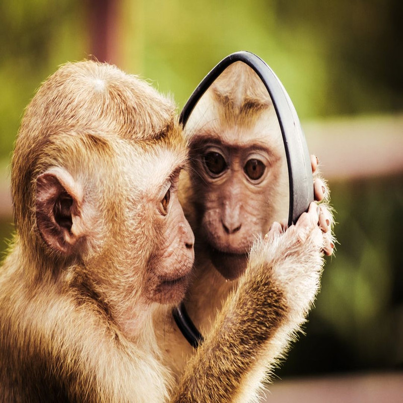 1080x1080 size il_1140xN.3121024771_q3tg.jpg