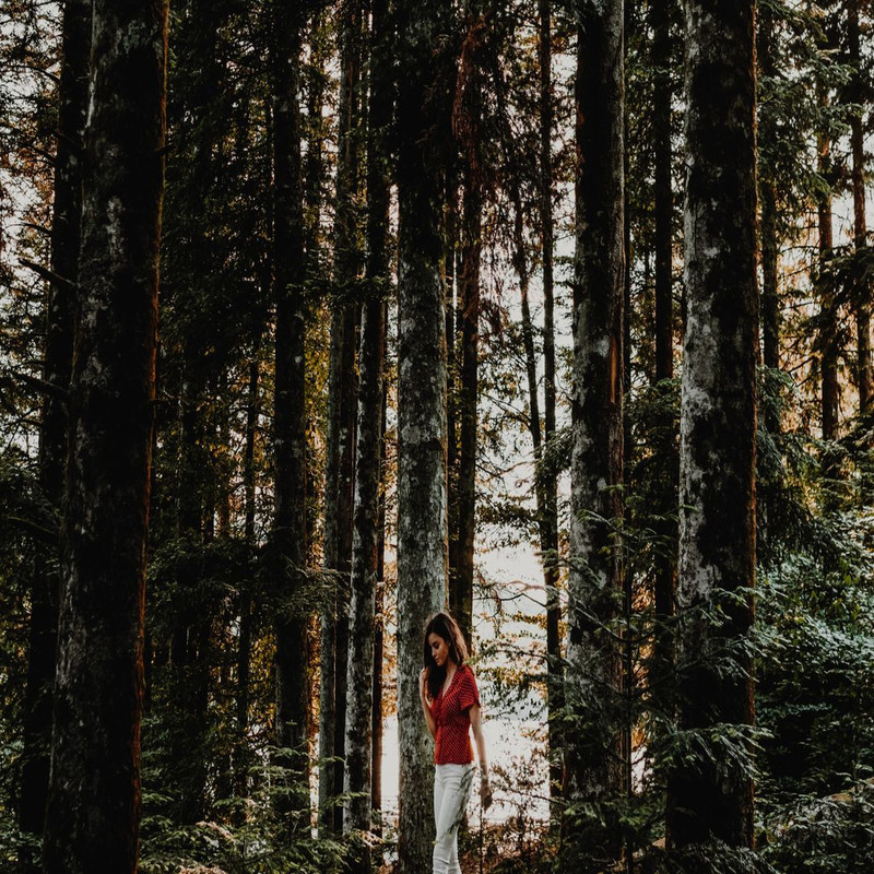 1080x1080 size pexels-louis-2492097-1594x1062.jpg